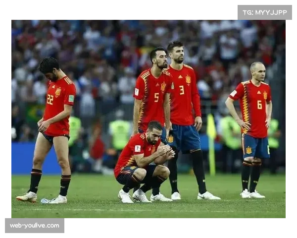 布雷斯特主场草皮积水，影响传控战术